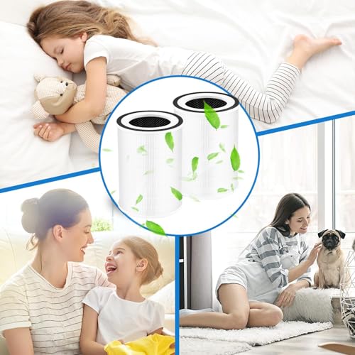 Image of 2-Pack 1000 Replacement Filters | 3-in-1 Integrated Filtration with Activated Carbon & Pre‑Filter | Compatible with Air Doctor 1000 AD1000 Air Purifier