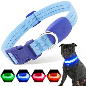Light Up Dog Collars Rechargeable, Reflective LED Glow Dark Dog Collar for Small Medium Large Dogs, Adjustable Pet Dog Lights for Safe Night Walk-Blue, Small