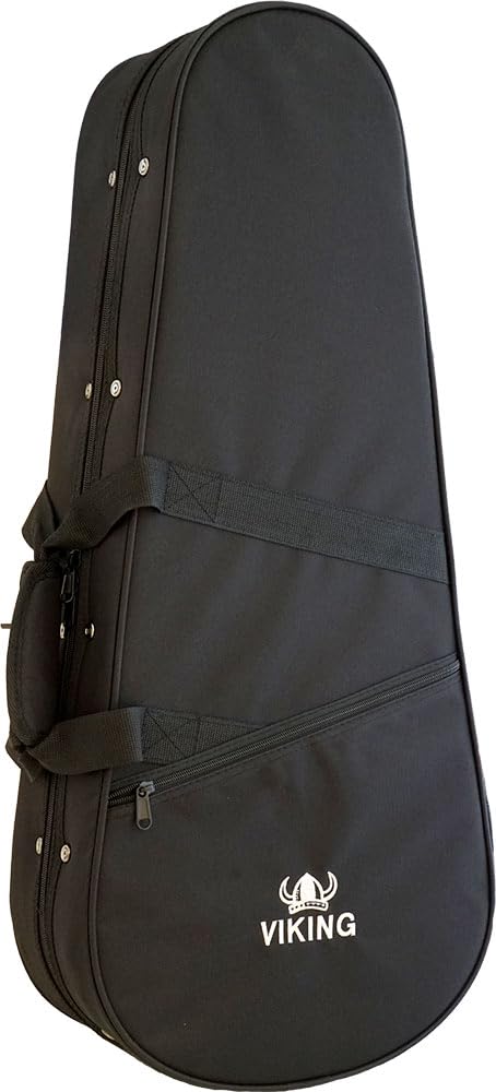 Oblong Foam Mandolin Case