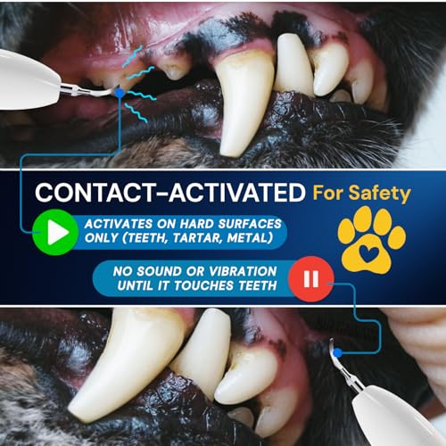 Image of SIRGAWAIN Pet Ultrasonic Dental Cleaner - Complete Cleaning Kit for Dogs & Cats (BJHUY2)