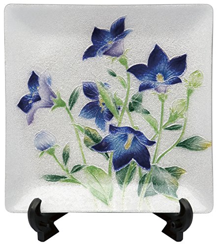 彩光舎 七宝焼き 66 桔梗 飾り皿 004-04