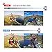 Extra Largo Bluetooth Selfie Stick,Extensible 3M Monopod Soporte para Teléfono Integrado Mando...