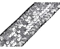 Algopix Similar Product 15 - 1m Silver Sequin TrimInsert On
