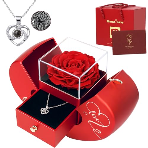 HanJoy Preserved Real Rose with I Love You Necklace 100 Languages - Romantic Gift for Her, Wife, Mom | Valentine's, Christmas, Mother's Day, Anniversary | Eternal Rose Gift Box (Red)