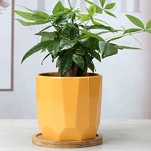 Mericp 6 Pack Bamboo Plant Saucer, 4 Inch Succulent Round Plant Saucer Planter Pot Tray Round Bamboo Tray For Indoor Outdoor Garden Most Plant Pot Flower Pot #TOP6