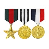 ehrenmedaille 2 Medaillen sind rund, während die dritte als Stern beeindruckt. Sie werden in der Farbe Gold geliefert