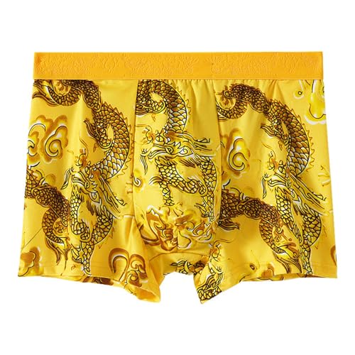 Year of Dragon Men Underwear Chinese Zodiac Pattern Boxer Briefs