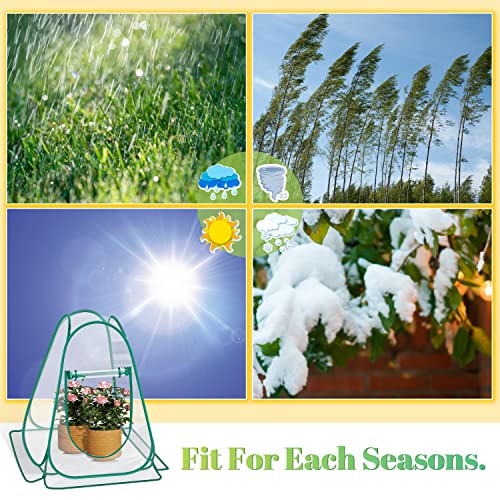 Fuairmee Pop Up Greenhouse Cover, Mini Greenhouse PVC Gardening Plant 2-Pack, Portable Small Green House for Indoor Outdoor, Sunshine Room Backyard Flow - Image 5