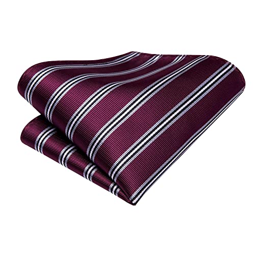 Dubulle Stripes Ties for Men Silk Mens Burgundy and Black Neckties Mens Tie Set Pocket Square CUfflinks Business Tie - Thumbnail 4