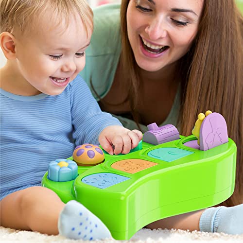 Pop Up Cause And Effect Toy - Toys For 9 Month Old +, Baby Toys, Early Developmental Toddler & Kids Gift - Toys For 1 Year Old Boy & Girl, Birthday, Montessori 12 Months To 1 2 3 Years #TOP1