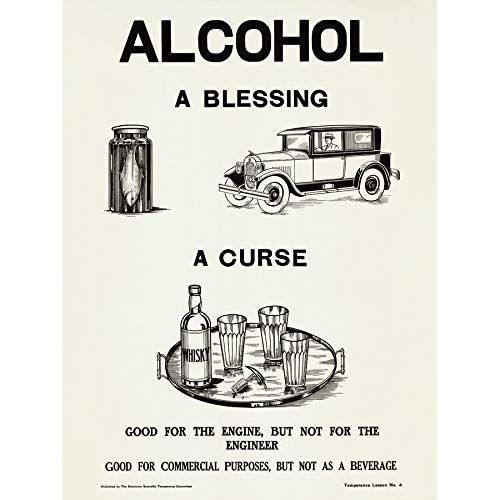 Temperance Movement Alcohol Warning Bless Ad Unframed Wall Art Print Poster Home Decor Premium