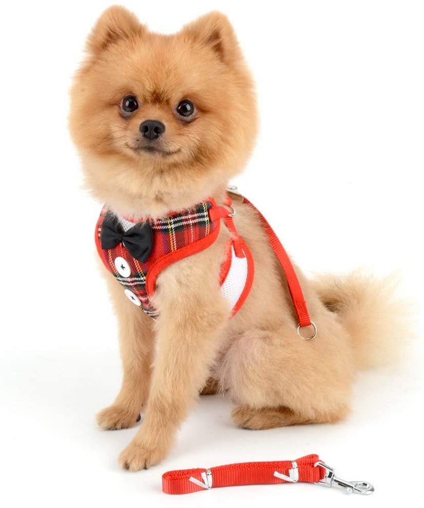 Pets Empire Dog Tuxedo Outfit Dog Harness with Leash Adjustable Dog Harness Dog Suit with Bowtie (Red) (Large (Fit Weight 5-9 kg)) (B09SLVZX2D) Amazon Price History, Amazon Price Tracker