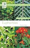  RHS Wisley Handbook: Euphorbias