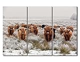 TUMOVO 3 Panel Brown Scottish Highland Cattle Herd in Natural Scenery Painting on Canvas Wall Decor Art Animals Picture for Living Room Winter Landscape Artwork Framed Ready to Hang, 60' Wx40 H