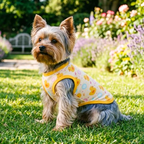Image of CuteBone Dog Shirts 2-Pack Soft Pet Clothes Breathable Summer Vest for Small Puppy and Stretchy Cat Apparel 2BX24XL