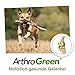 cdVet ArthroGreen Classic 25g - Nahrungsergänzung zur Unterstützung der Gelenke für Hund und für Katze durch Vitamine und Mineralien