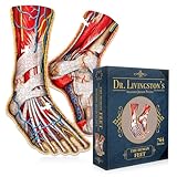 Dr. Livingston's Human Feet Anatomy Puzzle - A Medically Accurate Jigsaw Puzzle of The Feet - Educational Toy of The Human Body - Unique Shaped Puzzle for Doctors, Nurses and Medical Students
