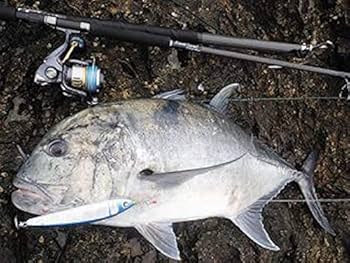 Amazon | RippleFisher RF Multi Shaft L/リップルフィッシャー 2段階