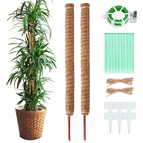Cerdeti Monstera Rankhilfe, 2Pack 70cm Pflanzstab Kokos, Biegsame Moosstab für Monstera, 20M Gartenbinder mit eingebautem Schneider,2pc 2m Jute Schnur,6 Kunststoff-Pflanzenetiketten und 20 Kabelbinder Cerdeti Monstera Rankhilfe, 2Pack 70cm Pflanzstab Kokos, Biegsame Moosstab für Monstera, 20M Gartenbinder mit eingebautem Schneider,2pc 2m Jute Schnur,6 Kunststoff-Pflanzenetiketten und 20 Kabelbinder