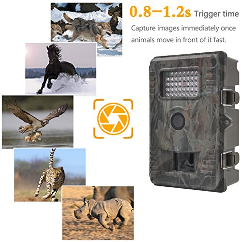 Fulllight Tech Game camera SD Card SDXC Classe 10