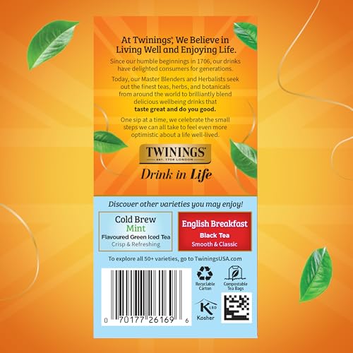 Image of Twinings Mixed Berries Cold Brew Iced Tea Bags, 20 Count (Pack of 1), Unsweetened Flavoured Black Tea, Caffeinated, 20 Teabags