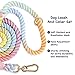 4 FT Dog Leash Handmade Braided Cotton Rope Dog Leash for Small Medium and Large Dogs (Dog Leash + Collar Set Nylon)