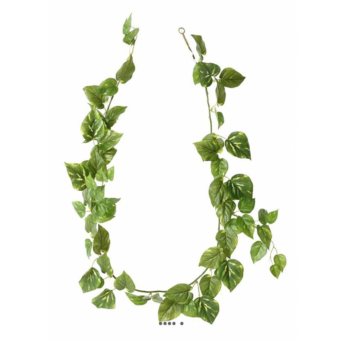 Artificielles.com - Artificial Pothos Garland Length 180 cm Variegated