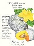 Sweet Meat Winter Squash Seeds - 3 Grams - Heirloom