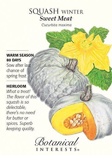 Sweet Meat Winter Squash Seeds - 3 Grams - Heirloom Sweet Meat Winter Squash Seeds - 3 Grams - Heirloom