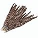 Produktbild Surepromise 20 STK Fasanenfedern 25-30cm Fasan Feder Natur Echte Vogelfeder Schmuckfedern Hutfeder Hutschmuck