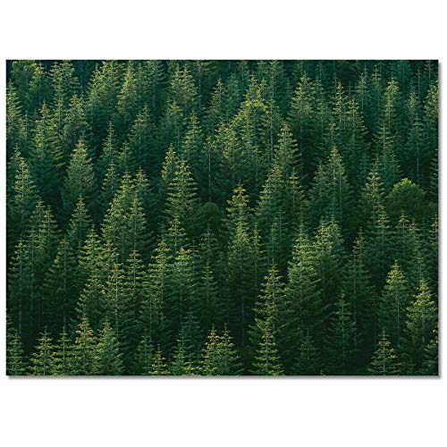 2' X 3' Forest Area Rug, Green Natrual Landscape Beautiful Tree Outdoor Indoor Washable Carpet Area+Rug For Living Room, Kids/Boys/Girls Bedroom, Bathroom, Classroom, Kitchen, Hallway, Throw Floor Mat #TOP1