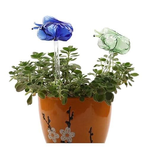 MEMEOKON KXo^tCAUY 2pbN sNƃAo[ ApȎUnV