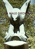 A MALE GROWING UP
