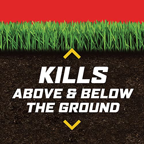 Image of Ortho Lawn Insect Killer Granules: Treats up to 20,000 sq. ft., For Yard, Garden & Landscapes, Works on Listed Ants, Spiders, Fleas & Ticks, 20 lbs.