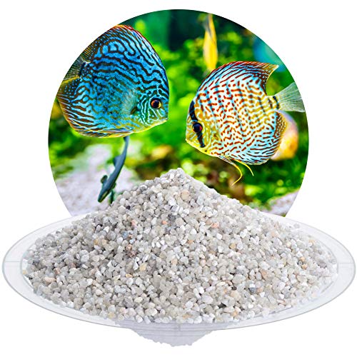 Schicker Mineral Aquariumkies Natur 25 kg, feiner Aquariumsand gewaschen, ungefärbt, kantengerundeter Bodengrund, Kies für Süßwasseraquarien, Meerwasseraquarien, Aquascaping (2,0-3,15 mm)