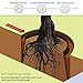 DeepRoot Tree Root Barrier, Tree Circle Weed Barrier, Root Shield for Sidewalks, Driveways, & Patios, 24