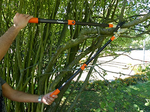 Garten Primus Astschere, Ratschenschere - 3