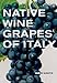 Native Wine Grapes of Italy