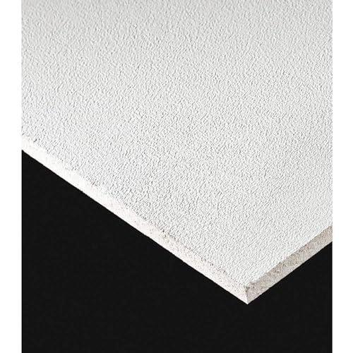 Armstrong Ceiling Tiles; 2x2 Ceiling Tiles - 16 pc White; Acoustic Ceilings for Suspended Grid; Kitchen Zone 673