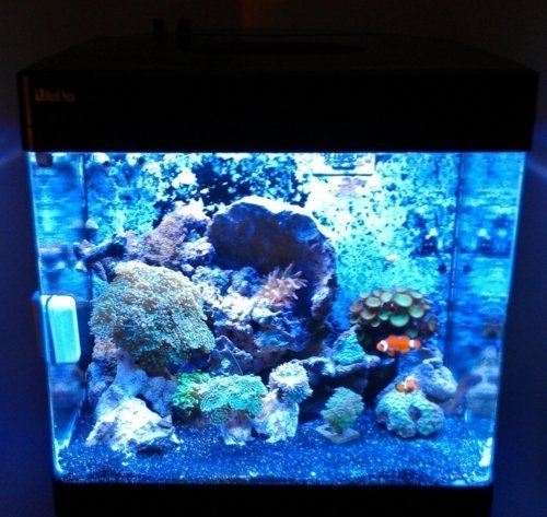 Solar Flare Red Sea Max 130D 60W LED Light Retro Fit DIY Kit