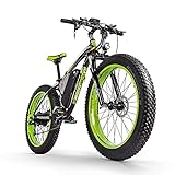 RICH BIT E Bike 26 Zoll Mountainbikeebike Herren Damen 48V 17Ah Fatbike Elektrofahrrad (Grün)