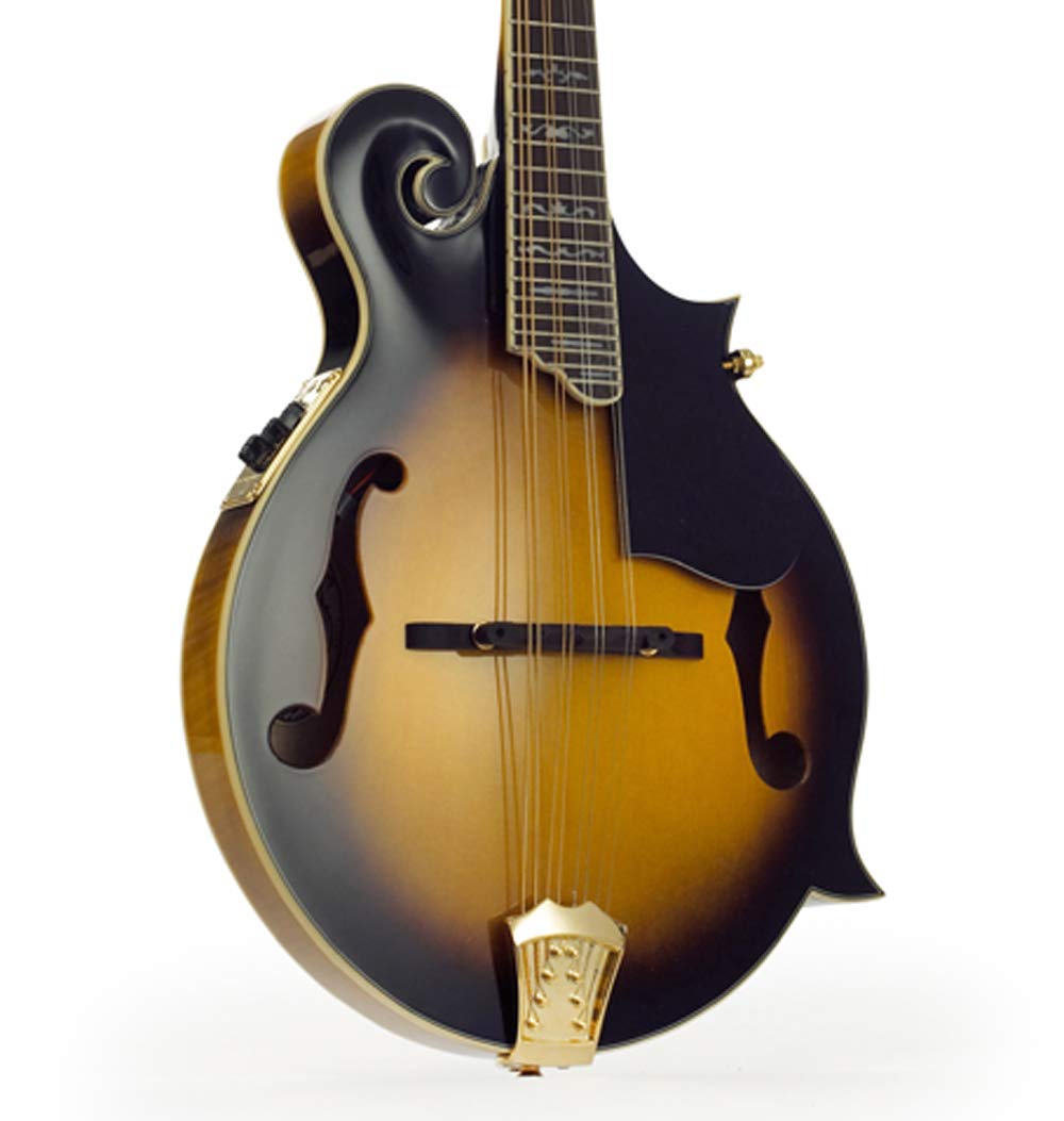 Ozark Mandolina Electro-Acústica Modelo F