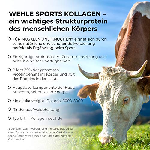 Collageen poeder 500 g, collageen hydrolysaat peptide, eiwitpoeder, smaakneutraal I Wehle Sports, Made in Germany… - Image 5