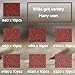 S&F STEAD & FAST Mouse Sander Sandpaper 70pcs, 40 60 80 100 150 240 320 Grit Mouse Sanding Pads, Ryobi Sander Replacement Pad, Detail Sand Paper with Tack Cloth