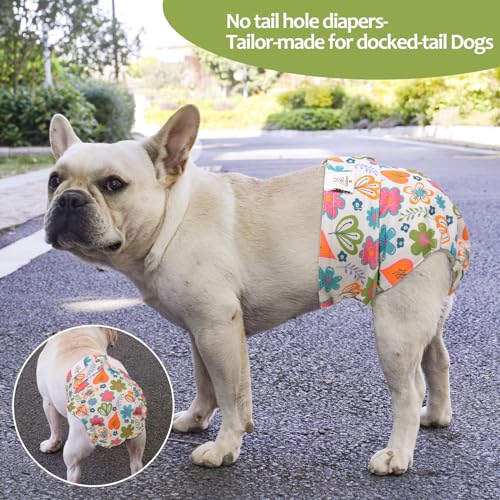 Image of CuteBone Washable Dog Diapers Female No Tail Hole 3 Pack Reusable Doggie Period Training Pants for Docked-Tail Frenchie French Bulldog Boston Terrier Without Tail WWD19M