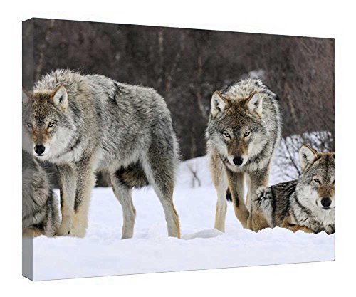 Toile Loup Buddies avec cadre bois pour salon et chambre