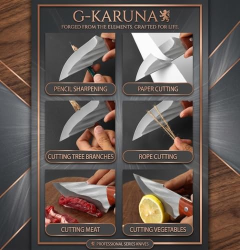 Image of Professional Chef Knife VG10 Steel, Razor Sharp Hand Forged Japanese Kitchen Knife, Full Tang High Carbon Stainless Steel, Multipurpose Meat Vegetable Knife with Leather Sheath (Pack of 1)