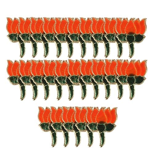 Balaji Hub BJP Flag Coat Pin/Brooch/Badge for Clothing Accessories (Pack of 25)- Kamal Flag Pin (DHWAJ098) (B0CMCR89QV) Amazon Price History, Amazon Price Tracker