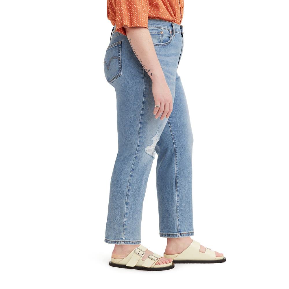 Levi's Women's Plus Size Wedgie Straight Jeans