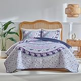 Boho Quilt Set Queen Size - Reversible Bohemian Quilt Bedding Set, 3 Pieces Colorful Lightweight Microfiber Bedspread Purple Elephant Paisley Circle Coverlet Set with 2 Pillow Shams for All Seasons